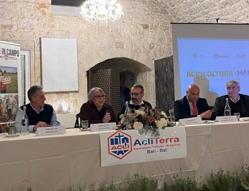 Agricoltura e mare il futuro della Puglia, la forza di saper orientare le vele