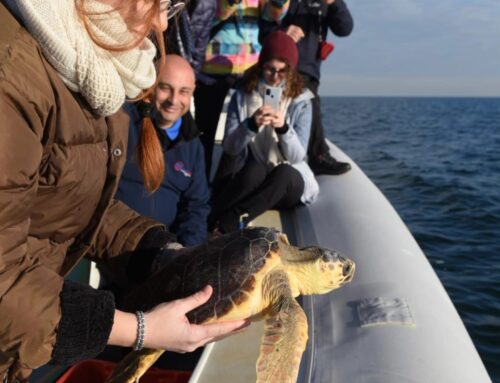 LA SINERGIA PER L’ADRIATICO