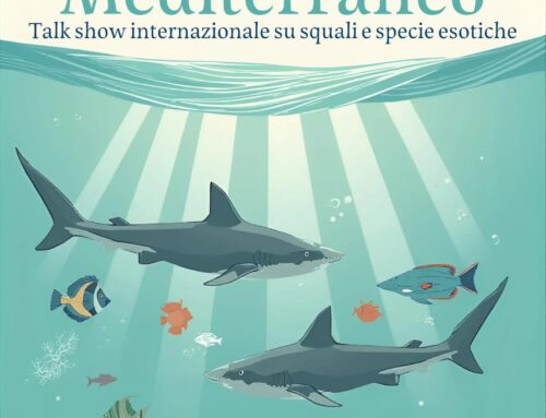 Il Futuro del Mediterraneo tra Squali e Specie Aliene: Acli Terra protagonista al Talk Show Internazionale di Monaco
