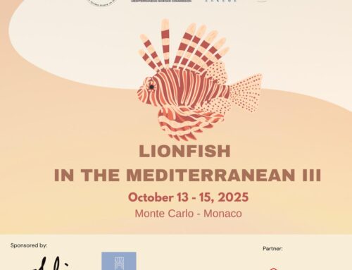 “Lionfish in the Mediterranean III”: scienza, società e governance insieme a Monaco per affrontare la sfida del pesce leone
