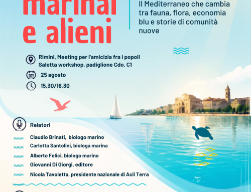 MEETING DI RIMINI, DOPPIO APPUNTAMENTO CON ACLI TERRA: DALLA TERRA AL MARE, COLTURE, CULTURE E NUOVE SFIDE DEL MEDITERRANEO