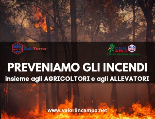 Incendi, Nicola Tavoletta: Necessario non abbassare la guardia anche in Italia