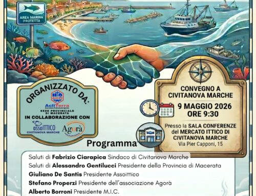 “Custodi del Mare: Alleanza per una Pesca Sostenibile” – Il 9 maggio a Civitanova Marche un confronto sul futuro del comparto ittico