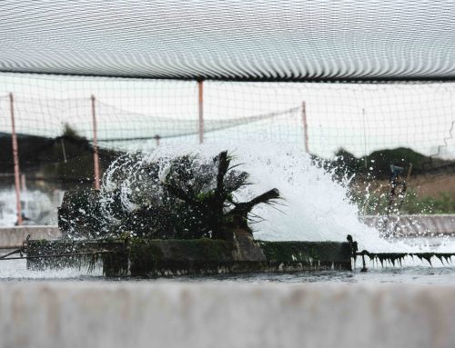 TAVOLETTA: «SULL’ACQUA CONDIVIDIAMO L’APPELLO DI GESMUNDO (COLDIRETTI). IL GOVERNO LA METTA TRA LE PRIORITÀ»