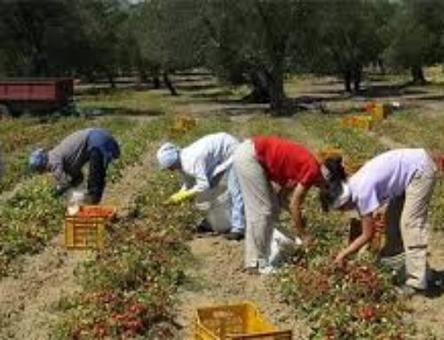 Acli Terra segnala la diminuzione degli incidenti in agricoltura: un risultato da valorizzare e su cui investire