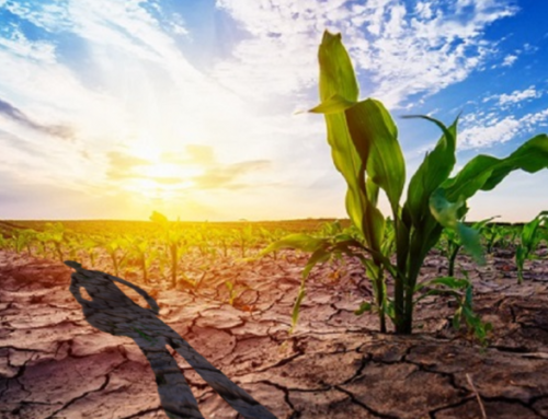 Acli Terra Calabria: legiferare sull’istituzione dei Piani Locali per il clima.