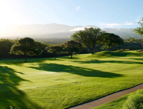 Golf e Sostenibilità: Acli Terra promuove l’alleanza tra sport, agricoltura di qualità e turismo green